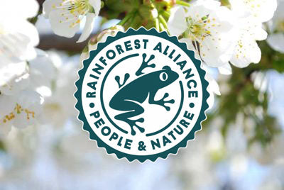 Spring Into Action: Spotlighting The Rainforest Alliance