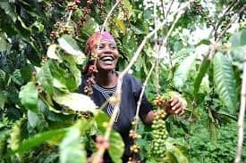 Women Creating Community Through Coffee