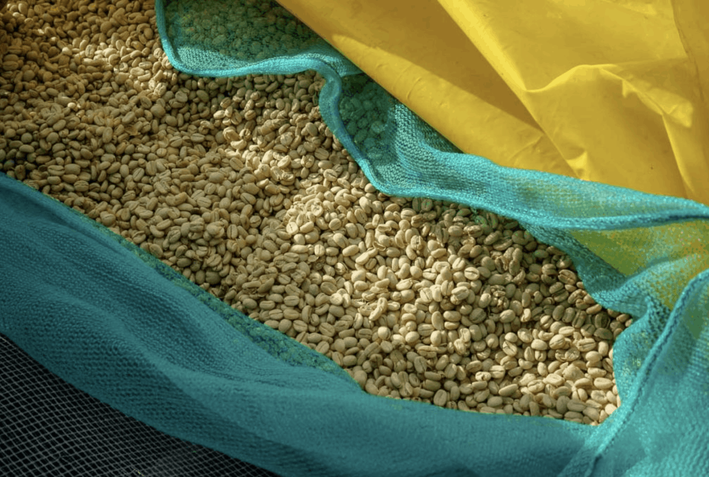 Ethiopia Yirgacheffe Natural