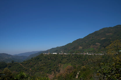 Guatemala Quetzal Huehuetenango