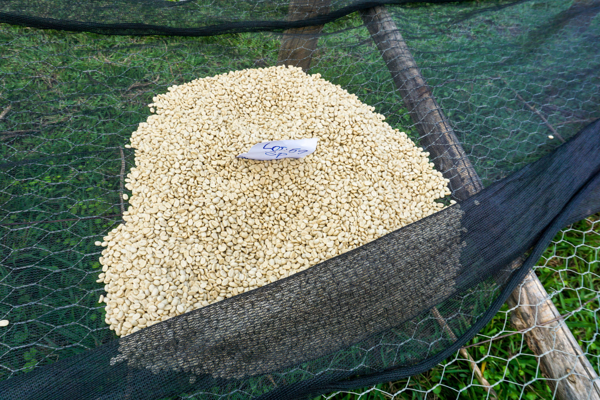 Rwanda Western Province (Natural)