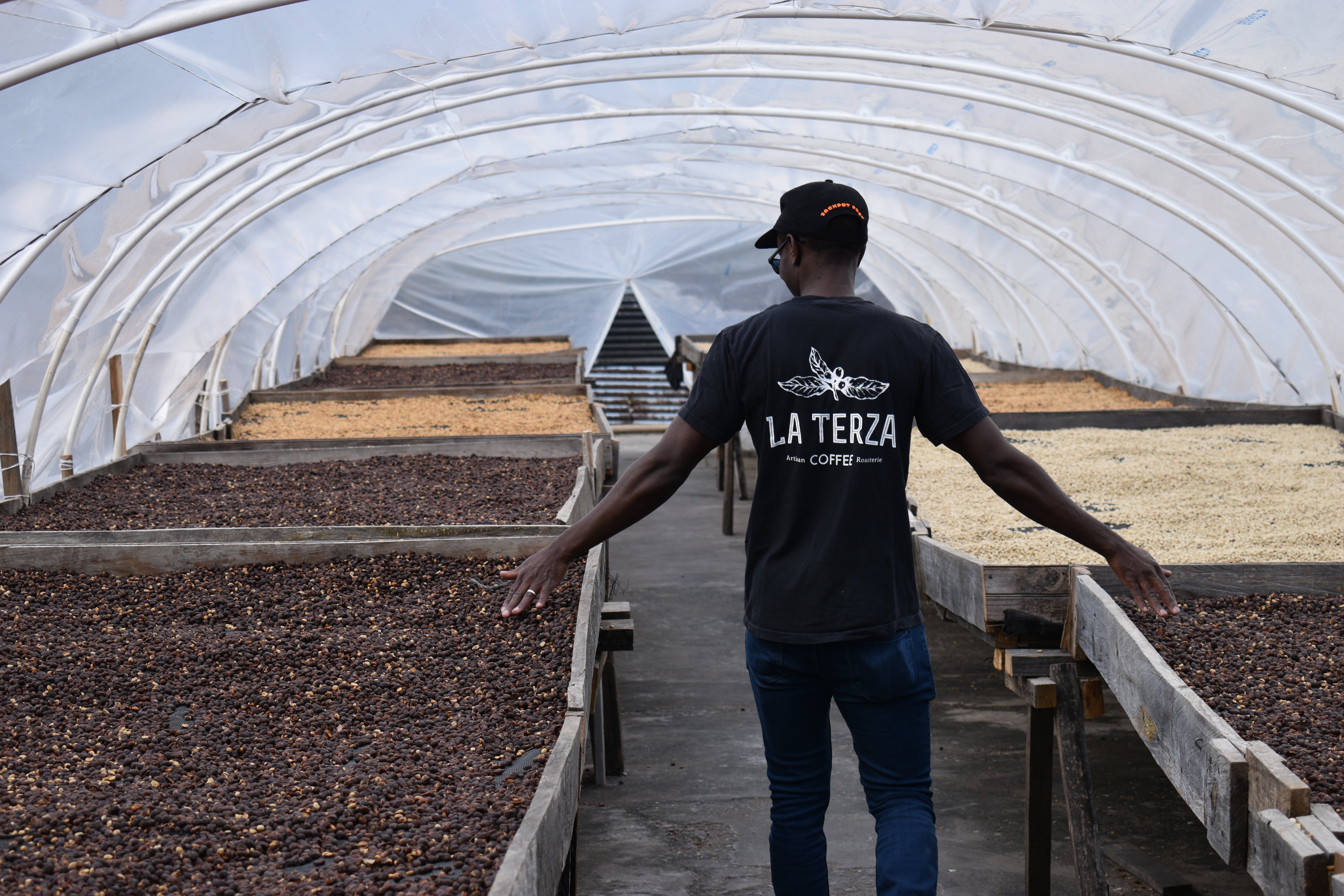 La Terza: Experience Intentional Coffee