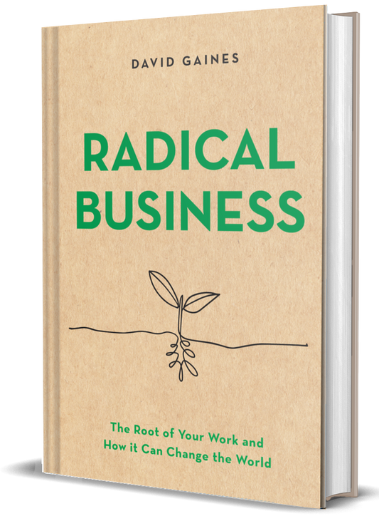 Radical Business Book
